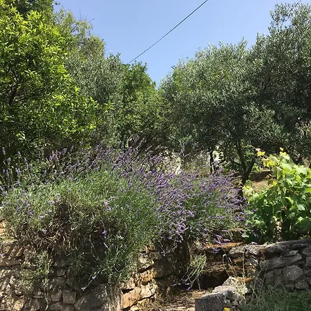 Lada Apartamento Supetar