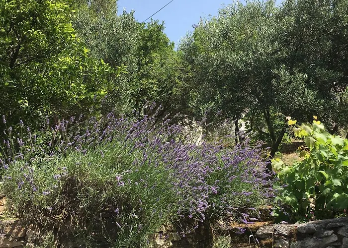 Lada Apartamento Supetar